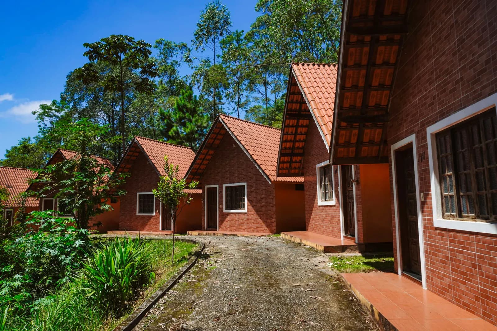 Chalés de tijolo com telhado vermelho entre as árvores